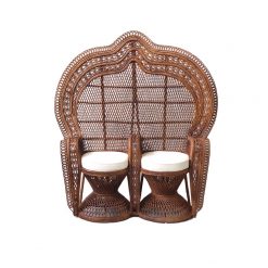 https://www.violetvintage.com/wp-content/uploads/2021/01/Nasrina-Double-Peacock-Chair_-front-247x247.jpg