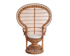 Peacock Chair