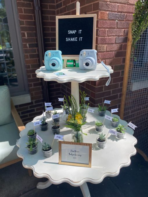 Two-tier off white scalloped table displaying cameras and plants at a baby shower