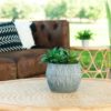 Lounge seating area outside. Close up on coffee table top that has woven rattan. Succulent plant with a vase on the coffee table. Brown leather couch, rattan side table, and a plant in the background.