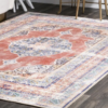 Orange Indoor Distressed/Overdyed Vintage Area Rug