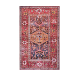 4x6 foot rug with floral patterns around boarder and design in the center. Hues of red with blue, cream and other neutral hues.