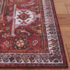 Corner of rug showing border design