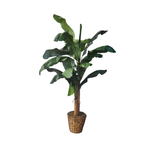 Faux banana plant with wide leaves standing over 7 feet tall. Brown pot.