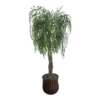 Faux tree with drooping greenery in the shape of a willow tree. Brown trunk in a brown pot.