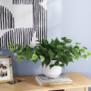 Plant sitting on books next to art and a frame