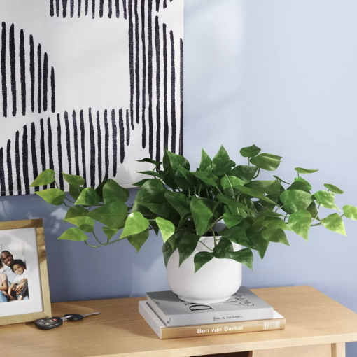 Plant sitting on books next to art and a frame