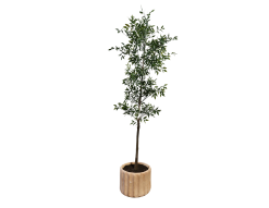 Faux tree in cream pot.