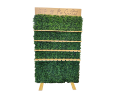 Front of boxwood champagne wall
